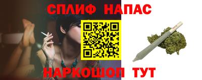 крисы Баксан