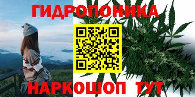 гашиш Ачхой-Мартан