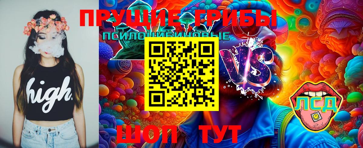 дарнет шоп  Псилоцибиновые грибы прущие грибы  Вход с VPN  Псилоцибиновые грибы Psilocybe  Воткинск 